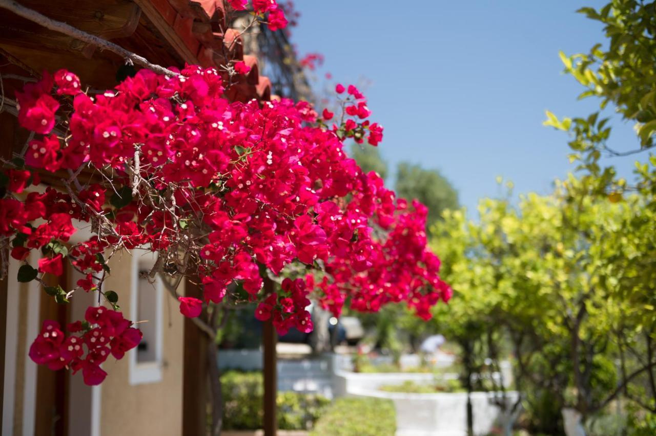 Buena Vista Studios Lourdata (Kefalonia) Exterior foto
