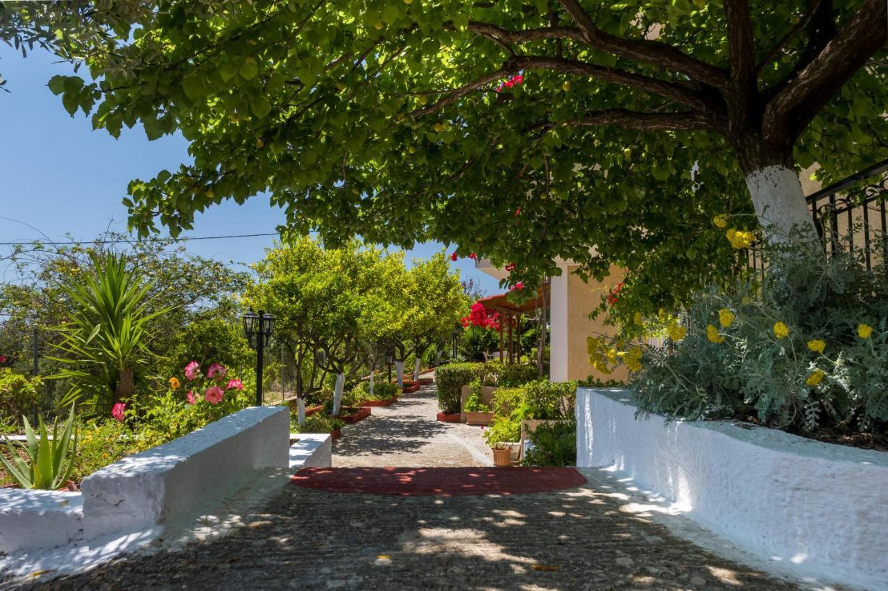 Buena Vista Studios Lourdata (Kefalonia) Exterior foto