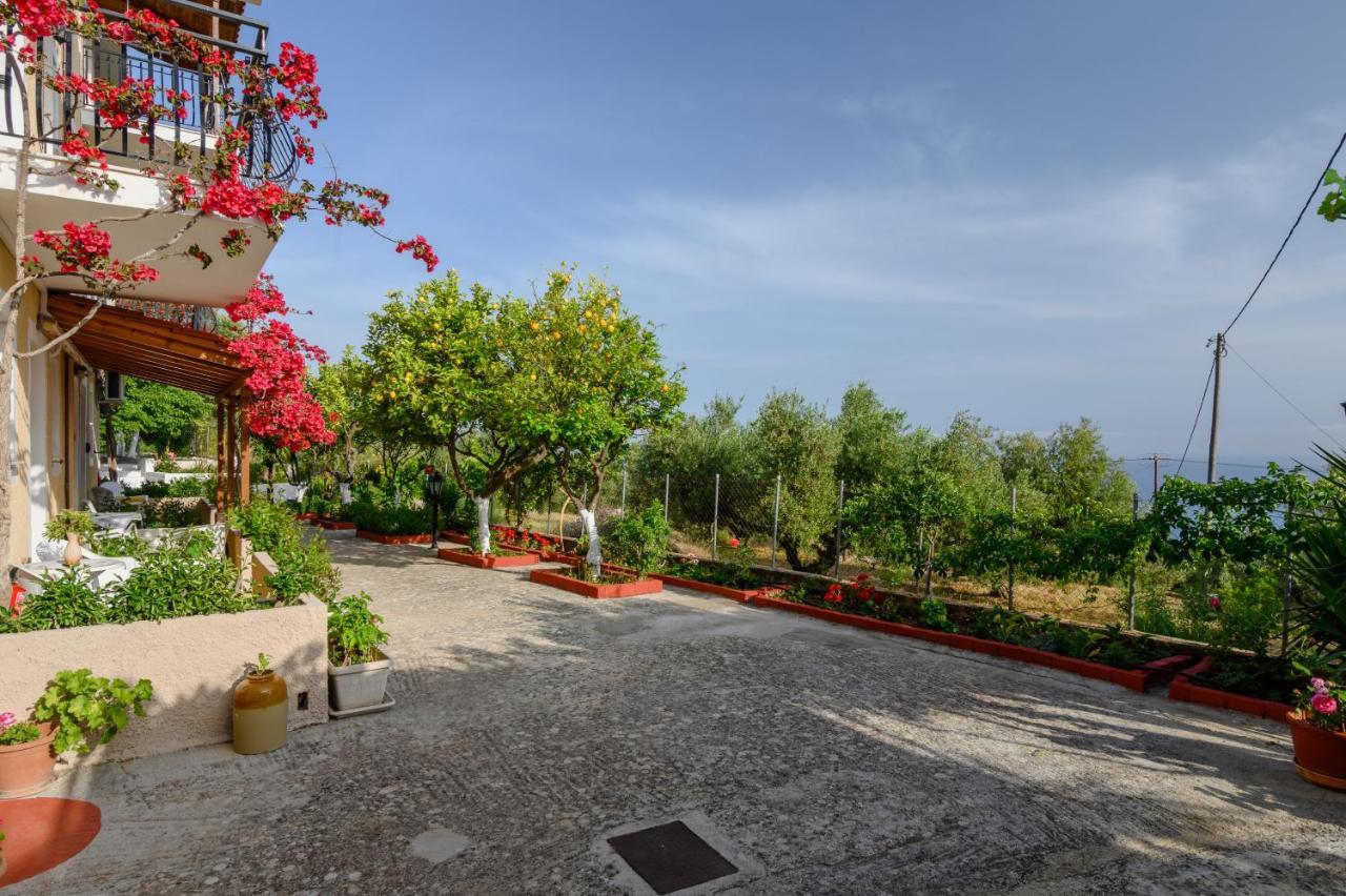 Buena Vista Studios Lourdata (Kefalonia) Exterior foto