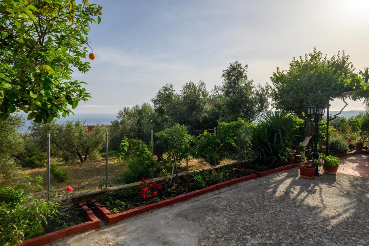 Buena Vista Studios Lourdata (Kefalonia) Exterior foto